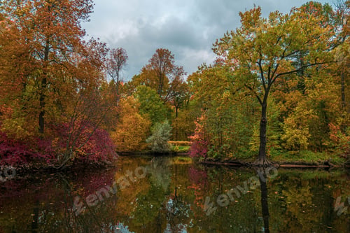 Preview: Colorful trees by the river