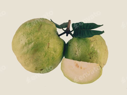 Preview: Group of Guava