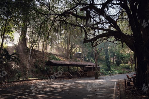 Visualização: Lan Sang National Park in Thailand. travel light