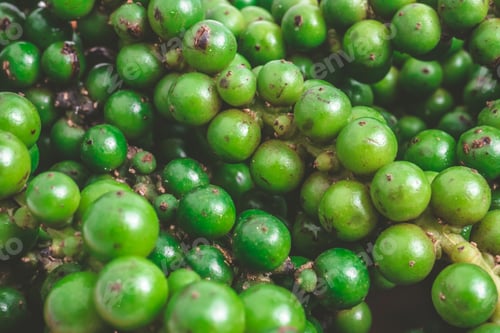 Preview: Close up of Green peppercorns.