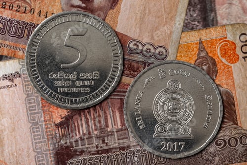 Preview: Modern Sri Lanka rupee coin isolated, official currency