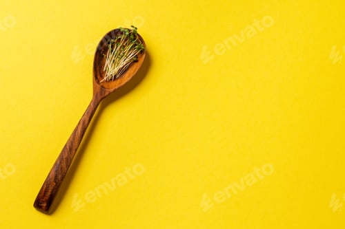 Preview: Micro greens in wooden spoon on paper background