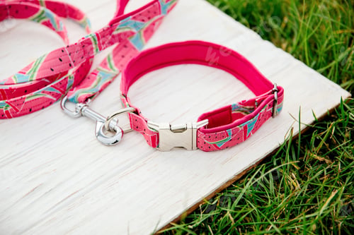 Preview: Dog Collar and Leash set. Pet Supplies and Walking Gear Collection