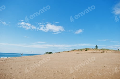 Visualização: Gaivotas em Sunny Beach, no Mar Negro, na Bulgária. Férias de verão, viagem e férias.
