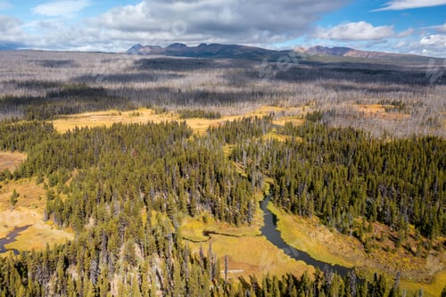 Preview: Aerial view of forest landscape with winding river and mountains.