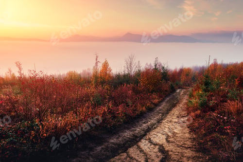 Preview: Amazing scene on autumn mountains