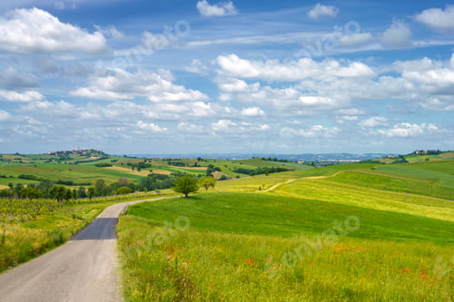 Preview: Landscape on the Tortona hills at springtime.
