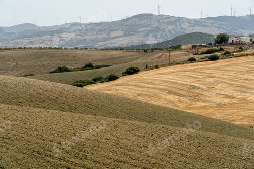 Preview: Rural landscape in Matera province at summer