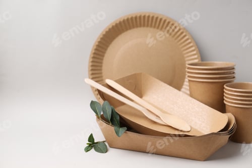Preview: Set of disposable tableware and green leaves on light grey background, closeup. Space for text