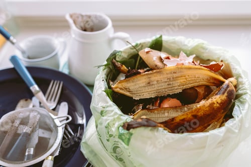 Preview: Leftover food in trash can in kitchen