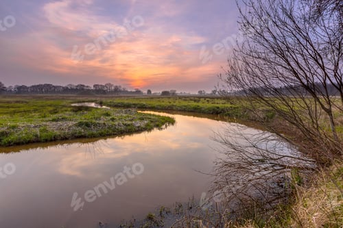 Preview: Regge sunset