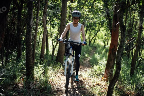 Preview: Mountain biking in summer forest