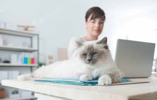 Preview: Cat lying down on a desktop