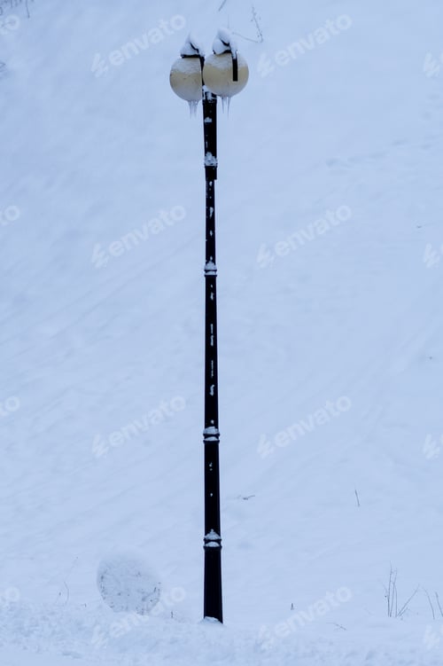 Preview: Vertical shot of a street light covered with snow in a winter park