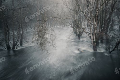Preview: Winter floods flood the riparian forests adjacent to the Minho river