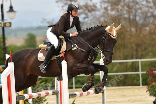Preview: Show Jumping