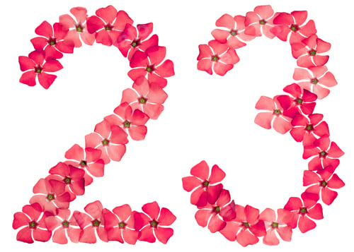 Preview: Numeral 23, twenty three, from natural red flowers of periwinkle, isolated on white background