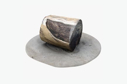Preview: Weathered Wood Stump on Sand