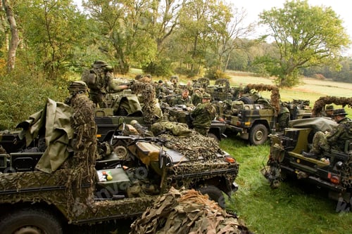 Preview: Camouflaged in the countryside