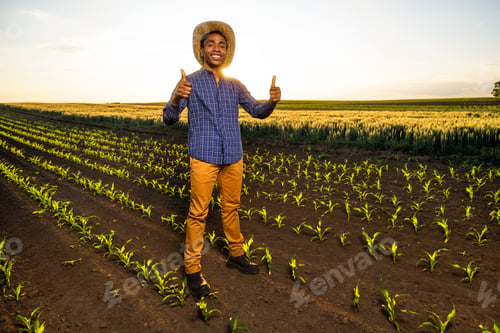 Preview: Farmer