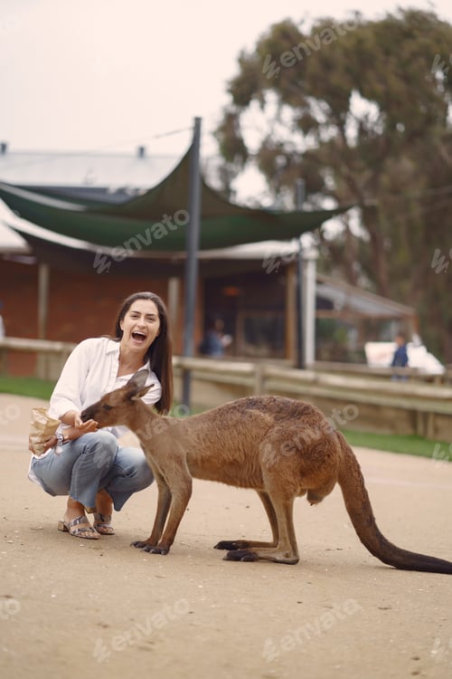 Preview: Woman at a reserve is playing with a kangaroo