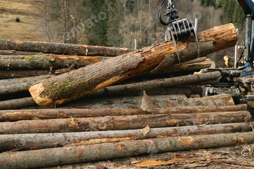 Preview: Crane loading wood into wood truck and the wood grapple holding a log from the wood pile