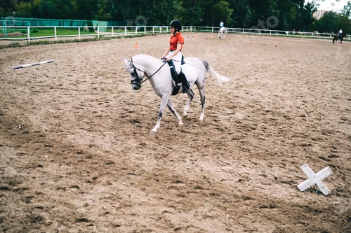 Preview: Horseback riding in saddle concept