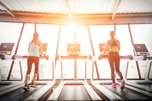 Preview: Exercise in fitness