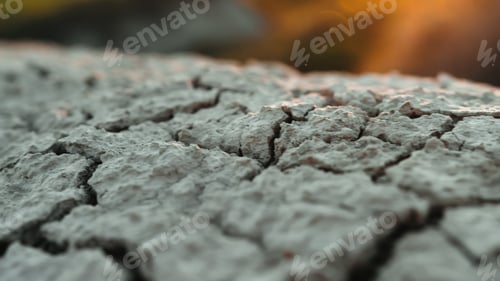 Preview: Cracks On Dry Ground