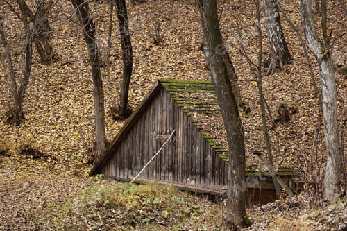 Preview: A dugout in an autumn forest with leaves on the roof. A small wooden house among autumn leaves.
