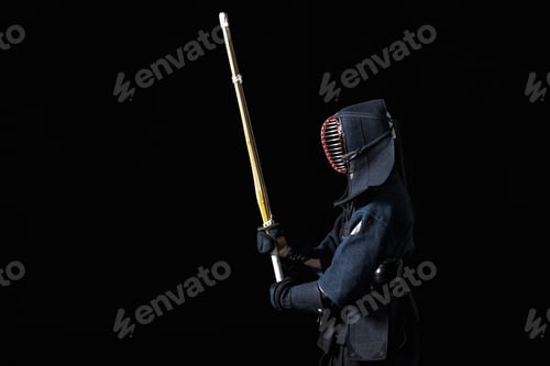 Preview: Kendo fighter with with shinai
