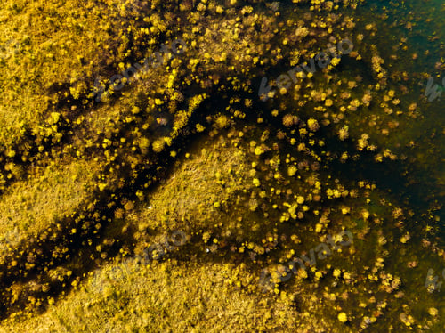 Preview: A drone view of the river on the marsh. An aerial view from the drone.