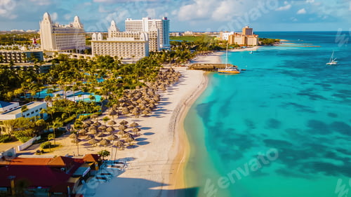Preview: Palm beach Aruba Caribbean, white long sandy beach with palm trees at Aruba