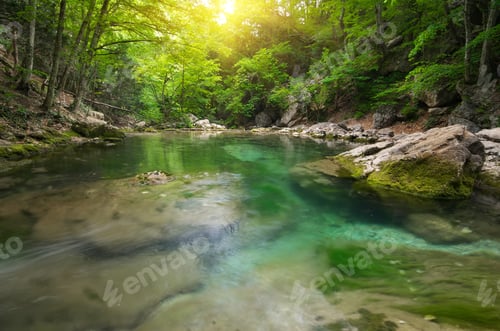 Preview: Lake in forest.