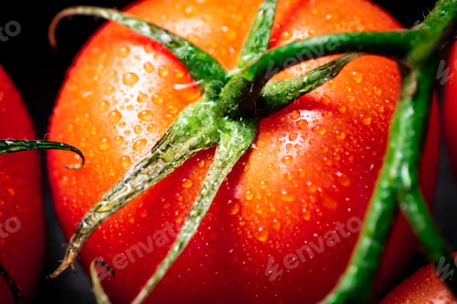 Preview: Fragrant ripe tomatoes with drops of water.