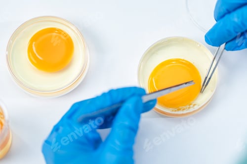 Preview: researcher working in laboratory for medicals science research using scientific equipment technology