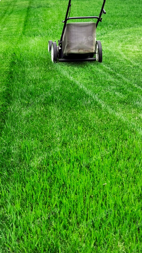 Lawn Mower on Lush Green Lawn