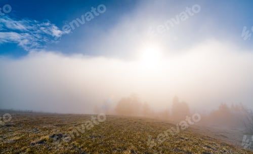 Preview: Early morning and frozen grass covered in fog under the bright sun