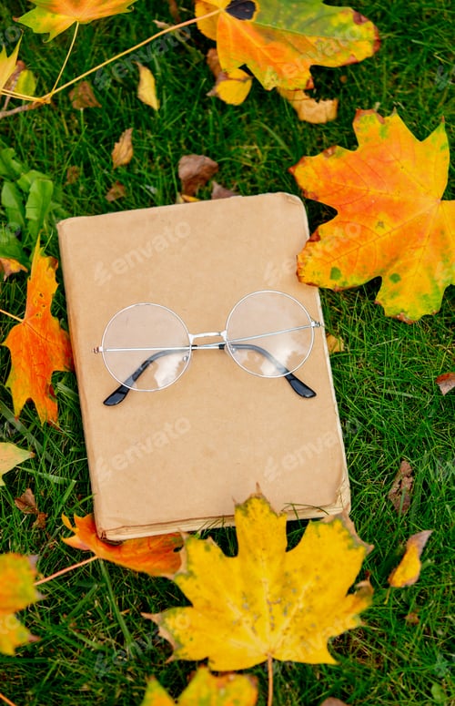 Preview: vintage book and glasses with maple leaves on a green grass in a garden
