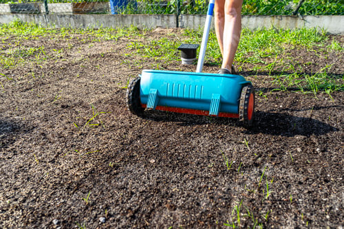 Preview: A woman sows grass with a wheel seed drill, visible grains of grass and black earth.