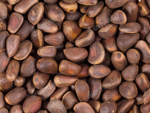 Preview: Lot of pine nuts. Close up.