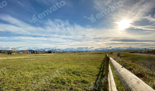 Preview: Beautiful shot of a lowland field in the daytime