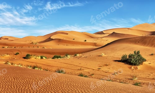Preview: A Creative Erg Chebbi, Morocco picture of World