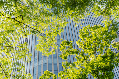 Preview: Sustainable green buildings. environmentally friendly buildings Green skyscraper building goals