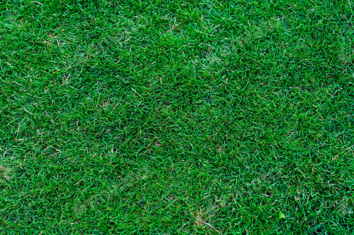 Vorschau: Wunderschöner, frisch gemähter Rasentexturhintergrund mit üppigem grünem Gras und Morgentautropfen