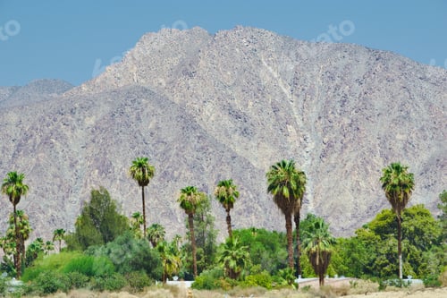 Preview: Beautiful desert landscape scene with mountain and palm trees and blue sky