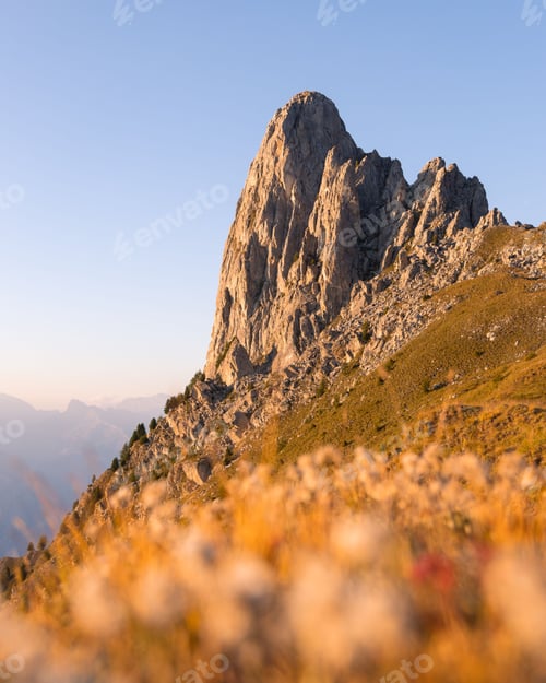 Preview: Beautiful sunset over Pierre Avoi mountain and a carpet of flowers in Saxon, Switzerland