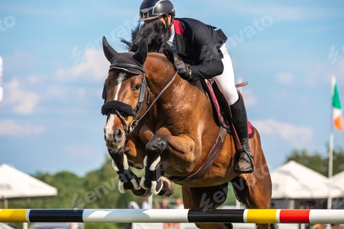 Preview: Horse Jumping, Equestrian Sports, Show Jumping themed photo.