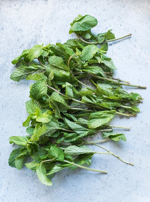 Preview: Overhead view of stems of mint leaves