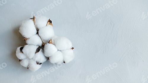 Preview: Fluffy cotton balls on grey canvas background.